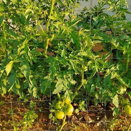 Сasa de vacaciones Casa Caleta Conil De La Frontera